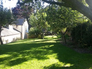 Fruit Trees at Park House, Worsbrough, South Yorkshire S70 5LW  - Residential Home